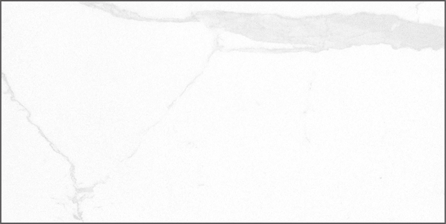 PT1262120P（卡拉卡塔）（拋）